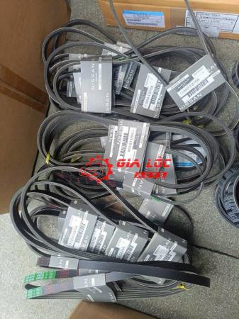 DÂY TRỢ LỰC NISSAN NAVARA D23 2015-2020 11950-E870A