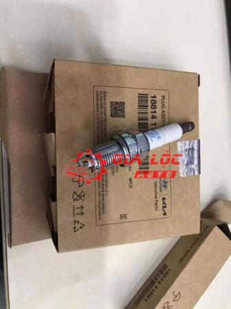 BUGI XE HYUNDAI,KIA 1881411051